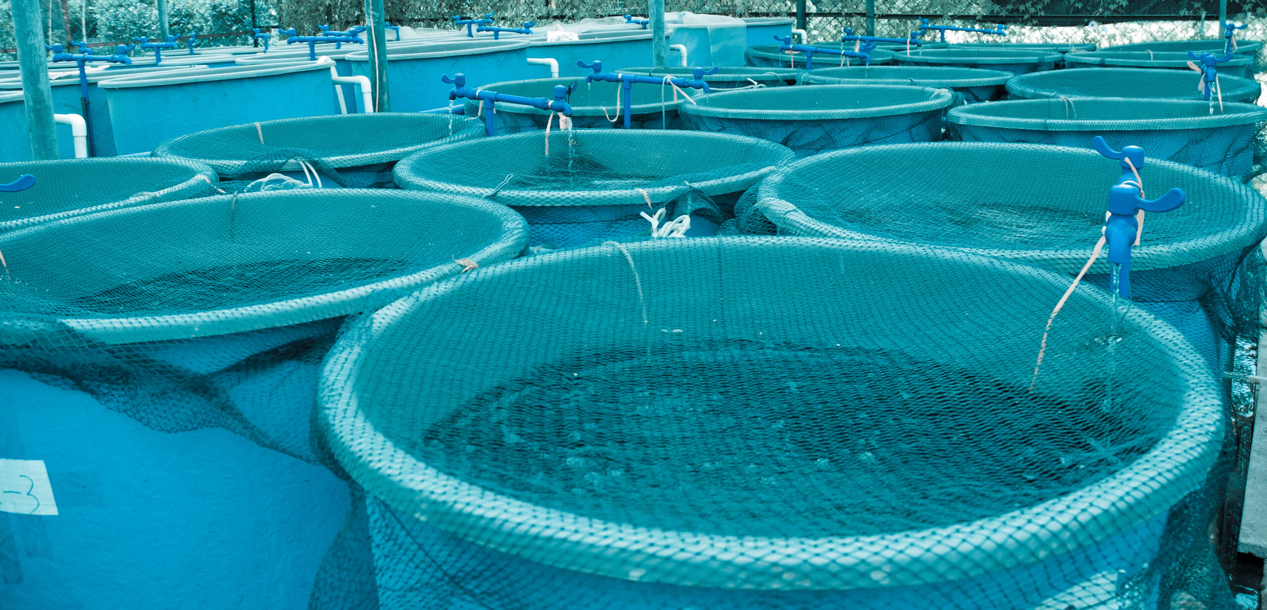 agriculture aquaculture farm
