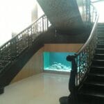 whatsapp image 2026 08 21 at 8.51.07 pm (1)